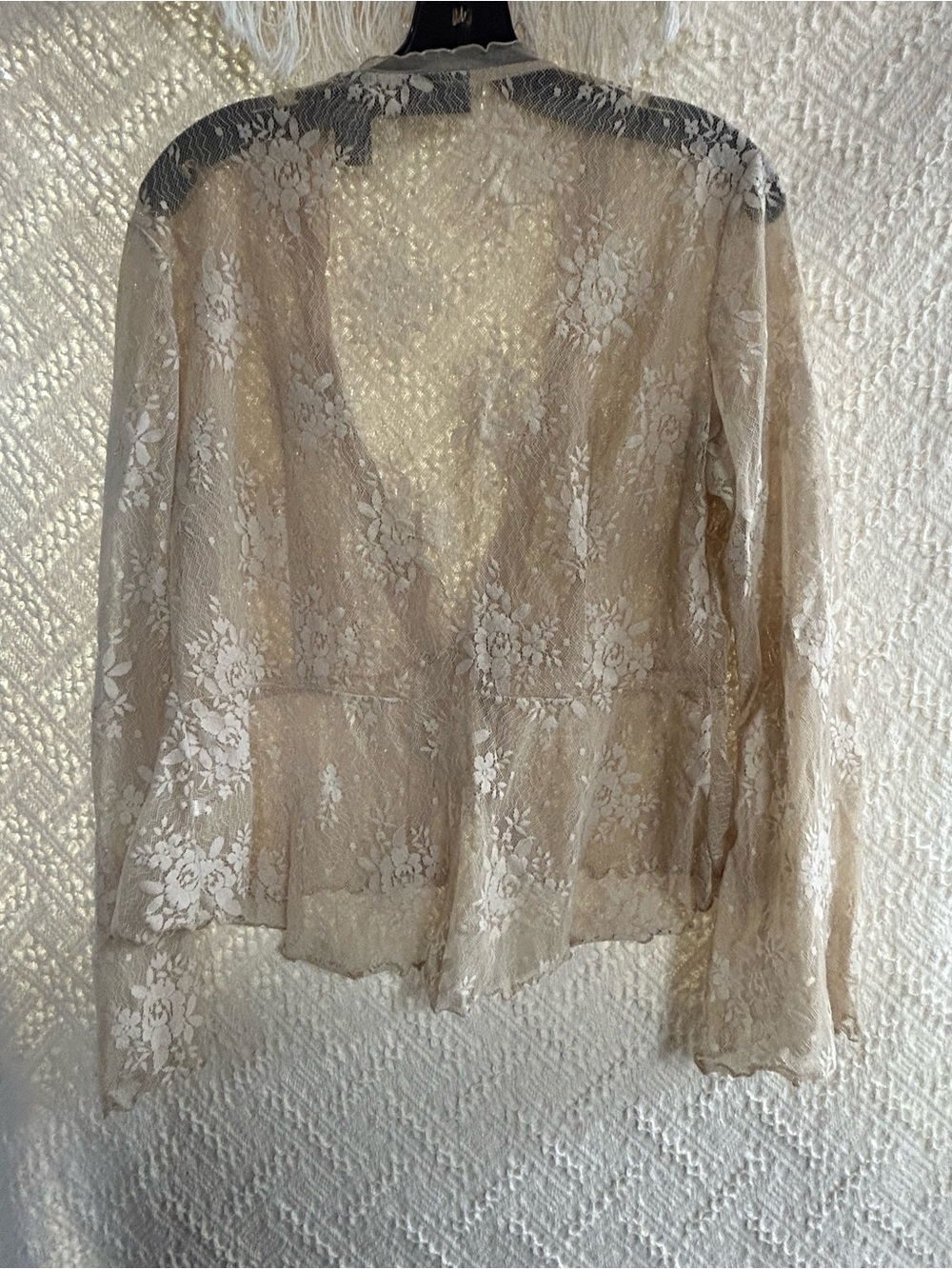 New York & Company Sheer Lace Tie-Front Top in Champagne Beige - Picture 4 of 5